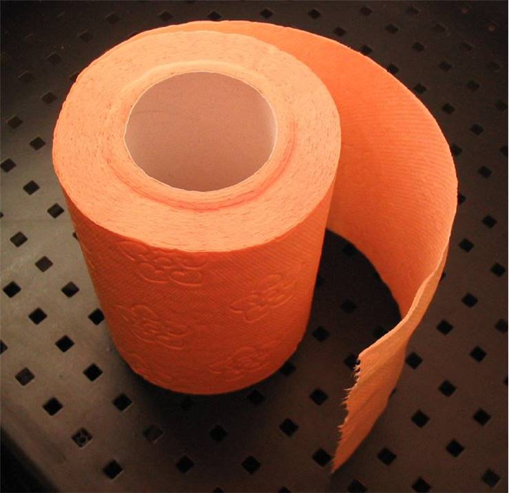 Toilet Paper Roll