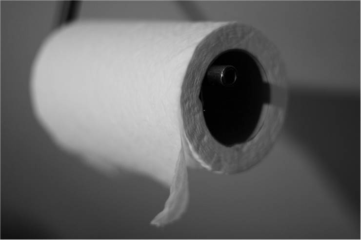 White Toilet Paper Roll