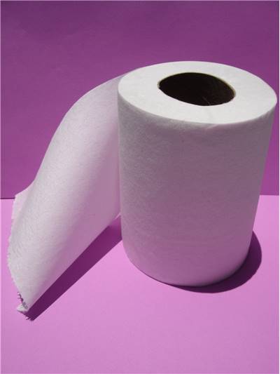 the toilet paper manufacturing